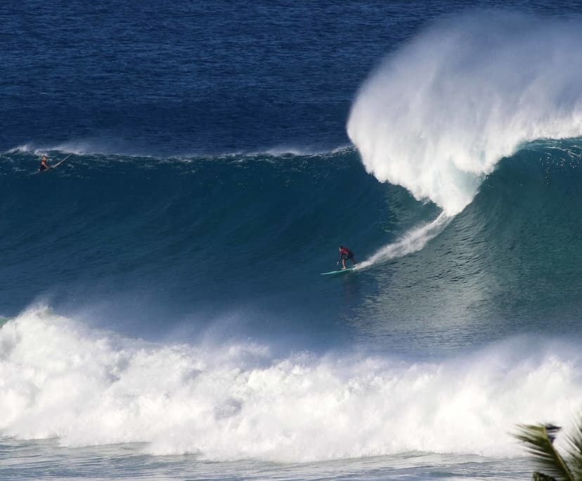 Miguel Canals Silander in action